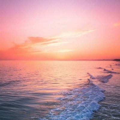 火狐电竞·huohu截图