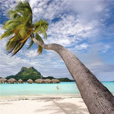 汇彩网登录大厅截图